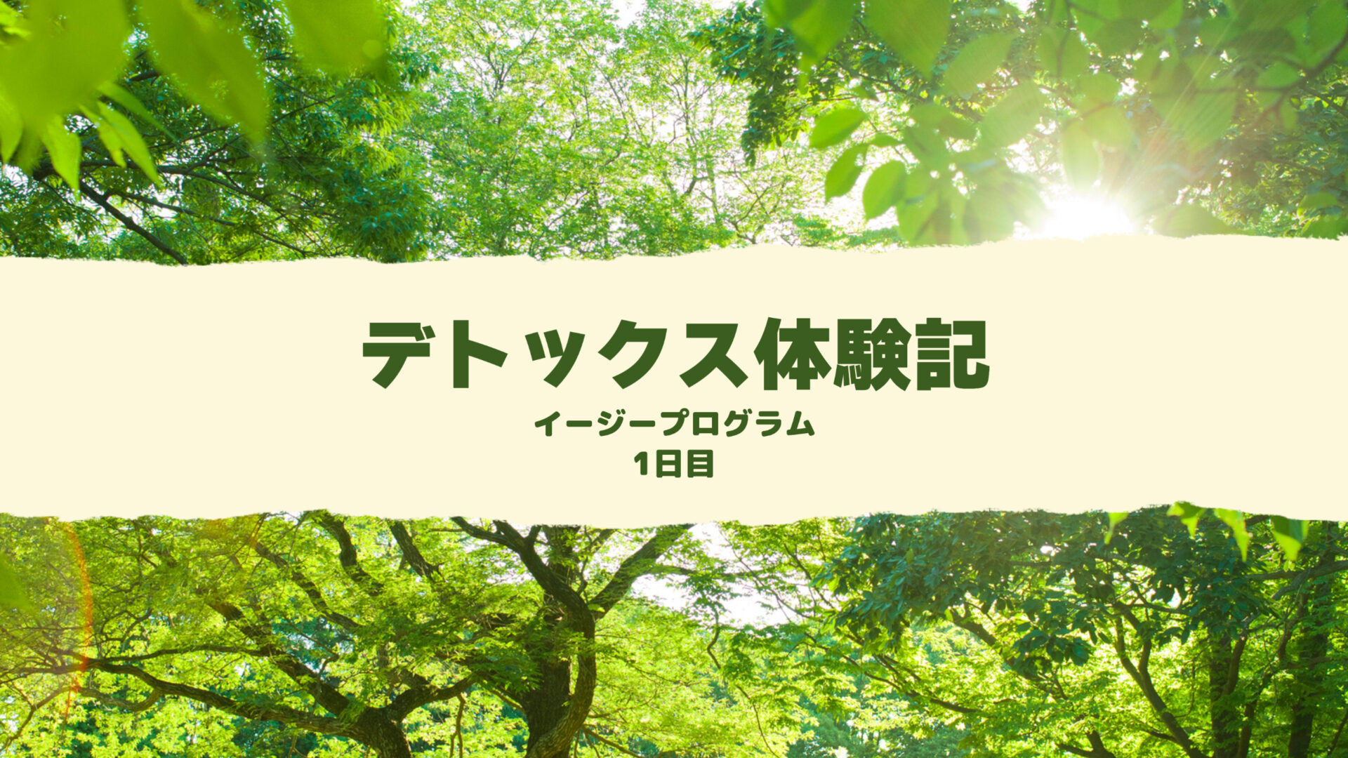 デトックス体験記 1日目